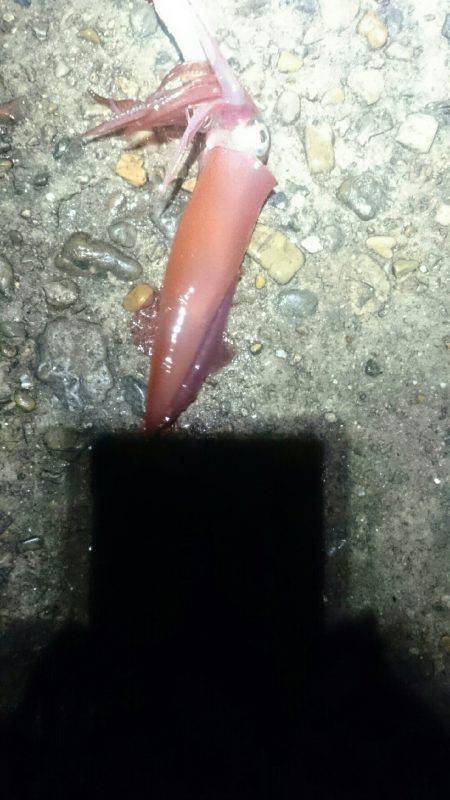 やはり雨の日は人が少ない