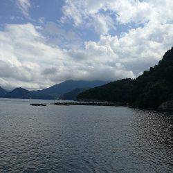 福井デイロック！！アオハタ