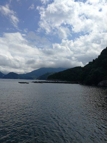 福井デイロック！！アオハタ