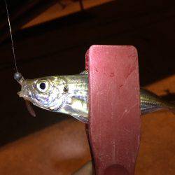 どうなってしまった。