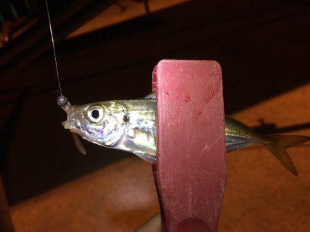 どうなってしまった。