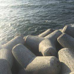 爆風爆波(^_^;)だけど入れパク( ^ω^ )