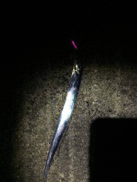 マリンピア沖洲でてんや