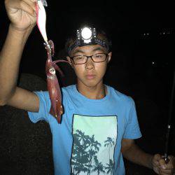 ケンサキイカゲーム♪