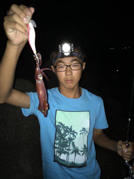 ケンサキイカゲーム♪