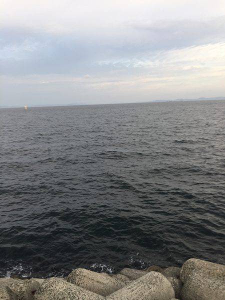 貝塚人工島サゴシ爆釣!