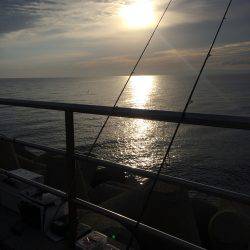 タチウオ、ツバス、アジ