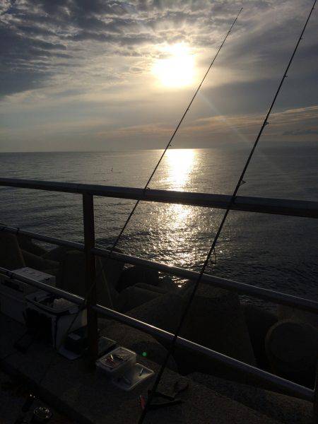 タチウオ、ツバス、アジ