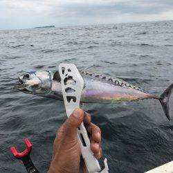 伊東でボート！