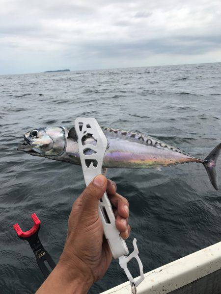 伊東でボート！