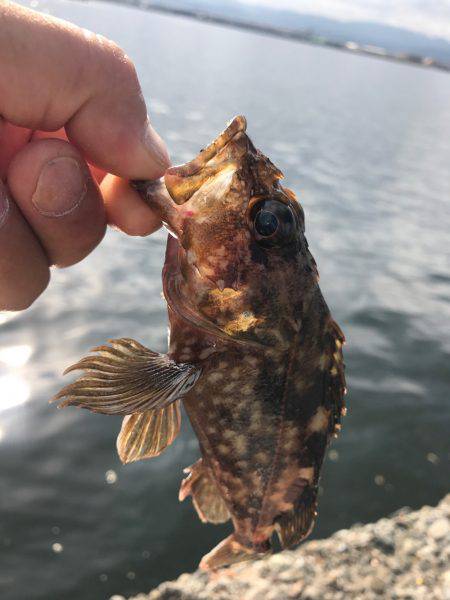 忠岡貯木場で。