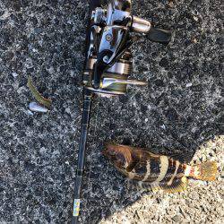 グルーピング？(笑)