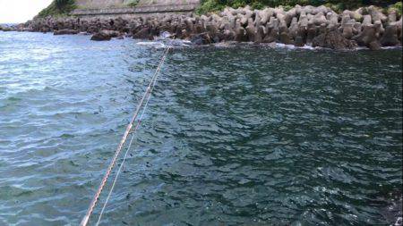 敦賀エギング好調