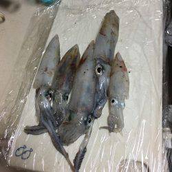 んー微妙やった