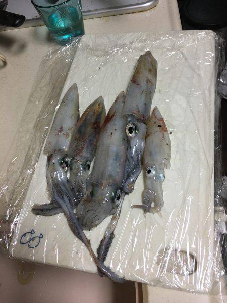 んー微妙やった