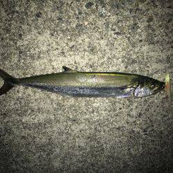 余裕をもって 参りましょう