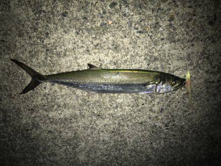 余裕をもって 参りましょう