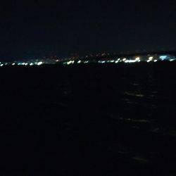 タチウオより人人人