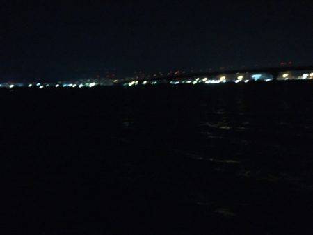 タチウオより人人人