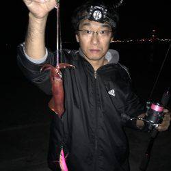 夜中ケンサキイカゲーム