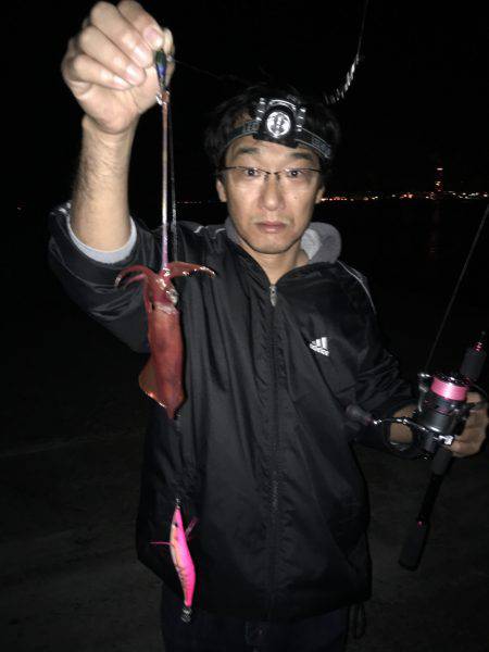 夜中ケンサキイカゲーム