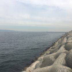 貝塚人工島 ライトショアジギングでサゴシ