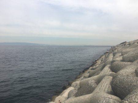 貝塚人工島 ライトショアジギングでサゴシ