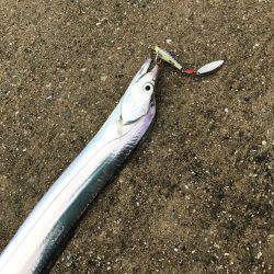 ヒットパターン