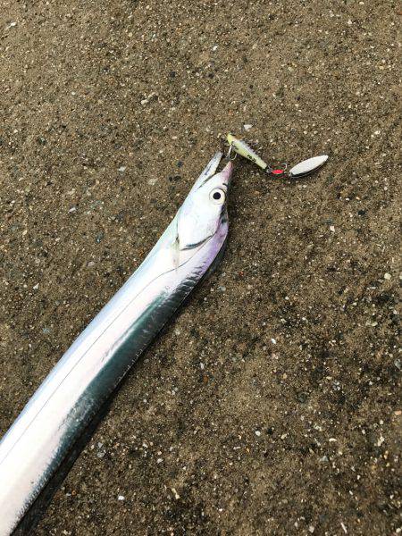 ヒットパターン