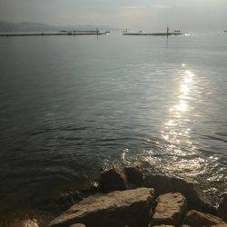 まさかの小ヒラメ2匹