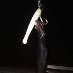 タチウオも人も多い