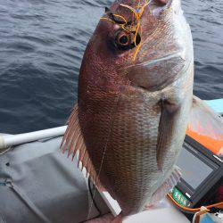 マイボートでタイラバで真鯛