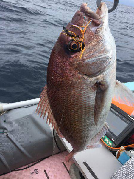 マイボートでタイラバで真鯛