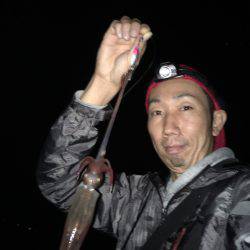 ケンサキイカ☆マイカゲームからシーバス☆ツバスゲームへ