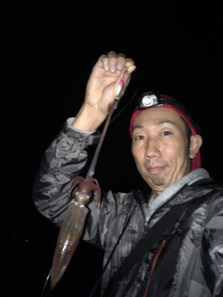 ケンサキイカ☆マイカゲームからシーバス☆ツバスゲームへ