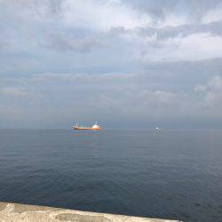 タチウオ好調です！