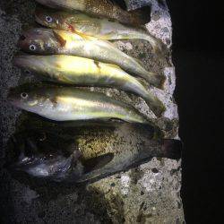 オホーツクロック！