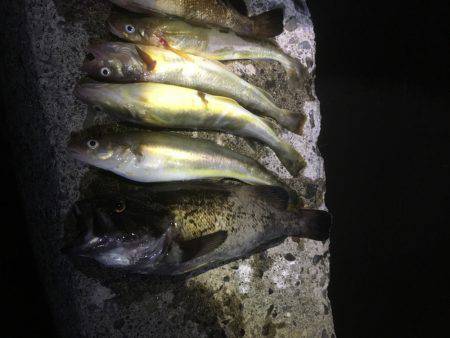 オホーツクロック！