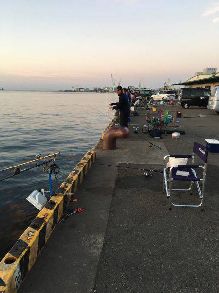 シーバスが釣りたい
