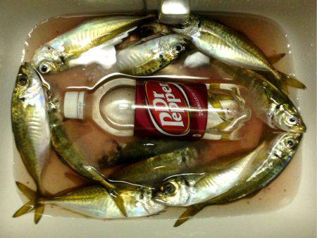 休み明けアジング