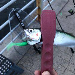 ショアジギング〜ワインド