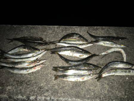 カマスラッシュ‼︎