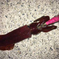 ケンサキ＆新子