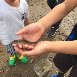 一家でハゼクラ