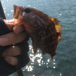 昨日は酷かった・・・今日は・・・