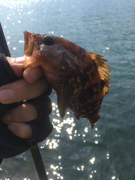 昨日は酷かった・・・今日は・・・