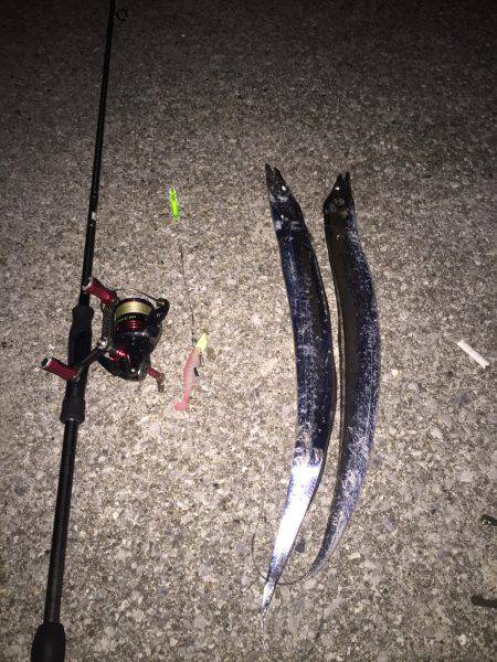 今年初のタッチ〜