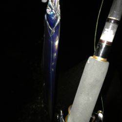 ショアジギとワインド