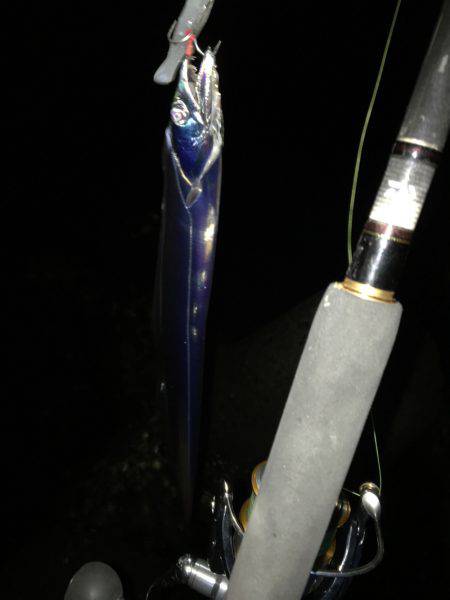 ショアジギとワインド