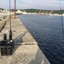 ころころころっけ♪